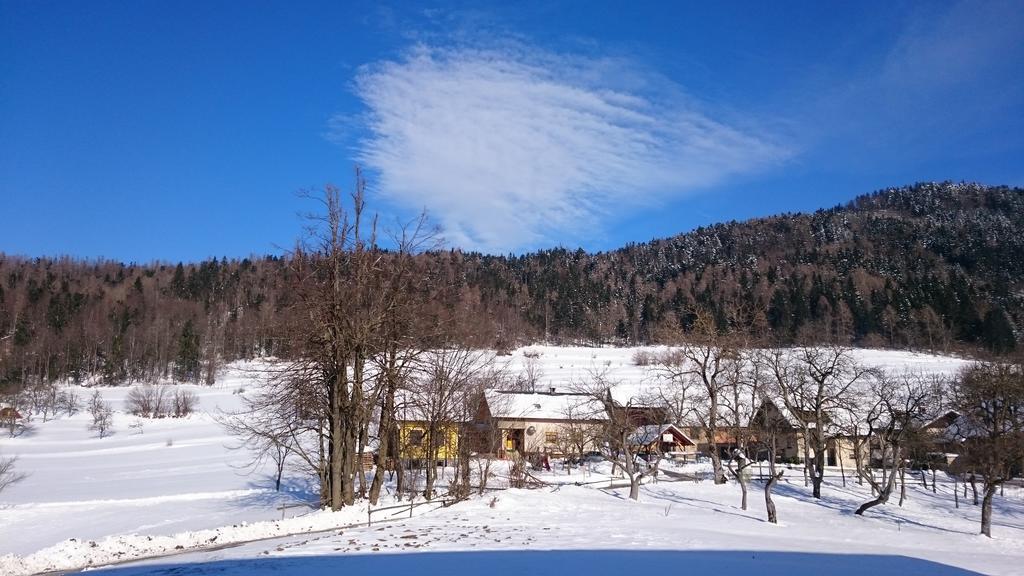 Apartment Vrtacnik Stefanja Gora Εξωτερικό φωτογραφία