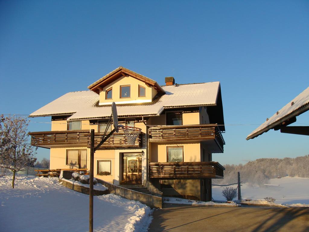 Apartment Vrtacnik Stefanja Gora Εξωτερικό φωτογραφία