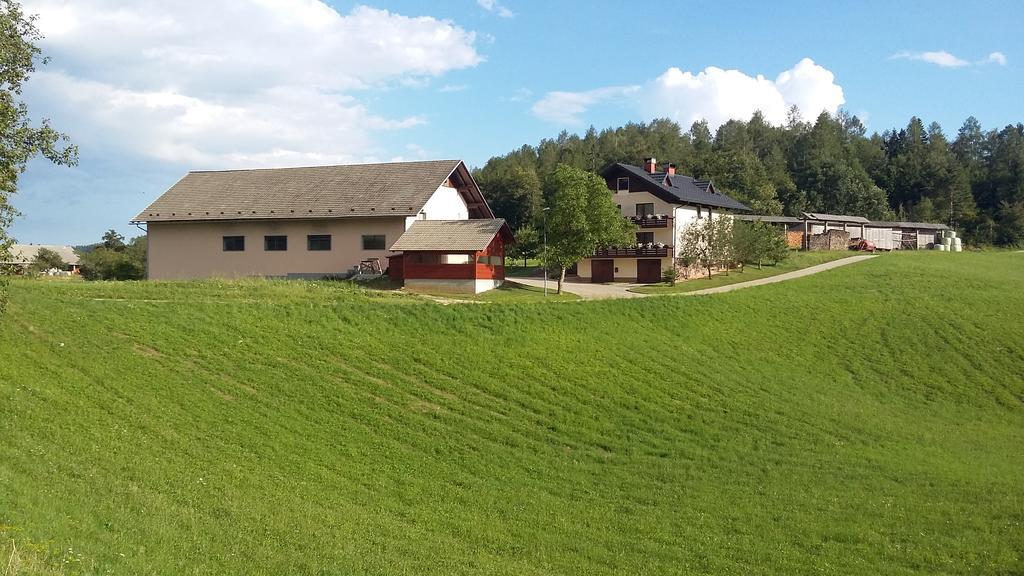Apartment Vrtacnik Stefanja Gora Εξωτερικό φωτογραφία